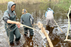 students wearing waders use nets to collect biological samples from a pond