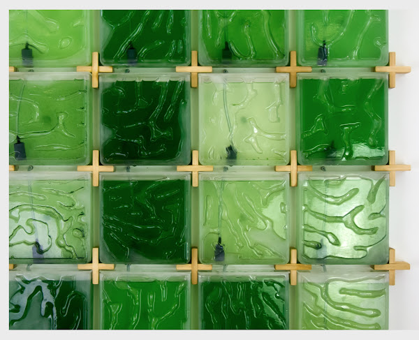 Blue-green algae growing in Hyunseok An MID 20's wall-mounted bioreactor