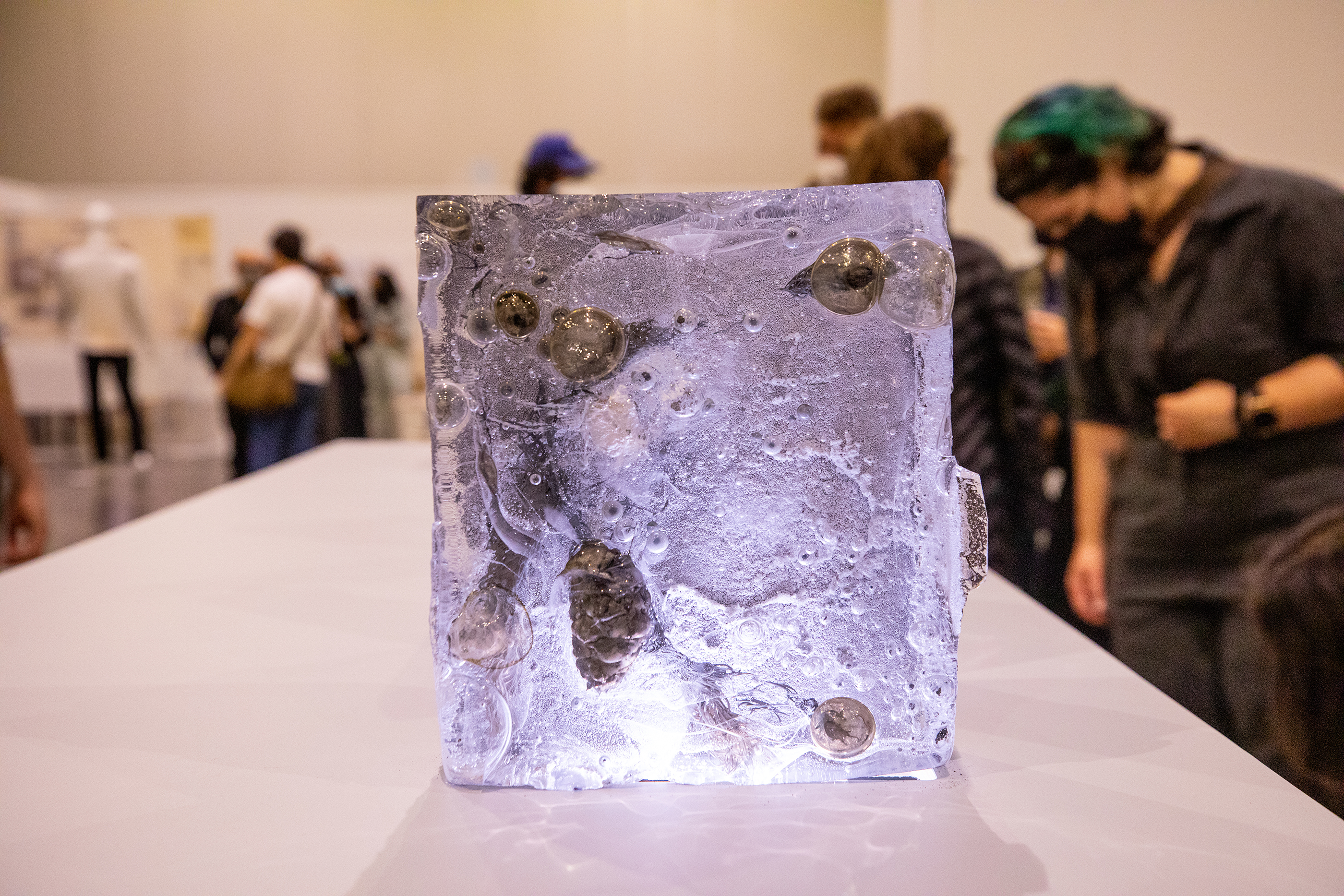 glass block with imprint of Colorado tree species