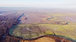 thousands of acres of land in the Lower Mississippi Alluvial Valley creating a biodiverse carbon sink