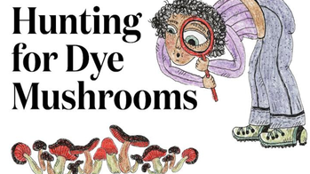 Hunting for dye mushrooms graphic of mushrooms