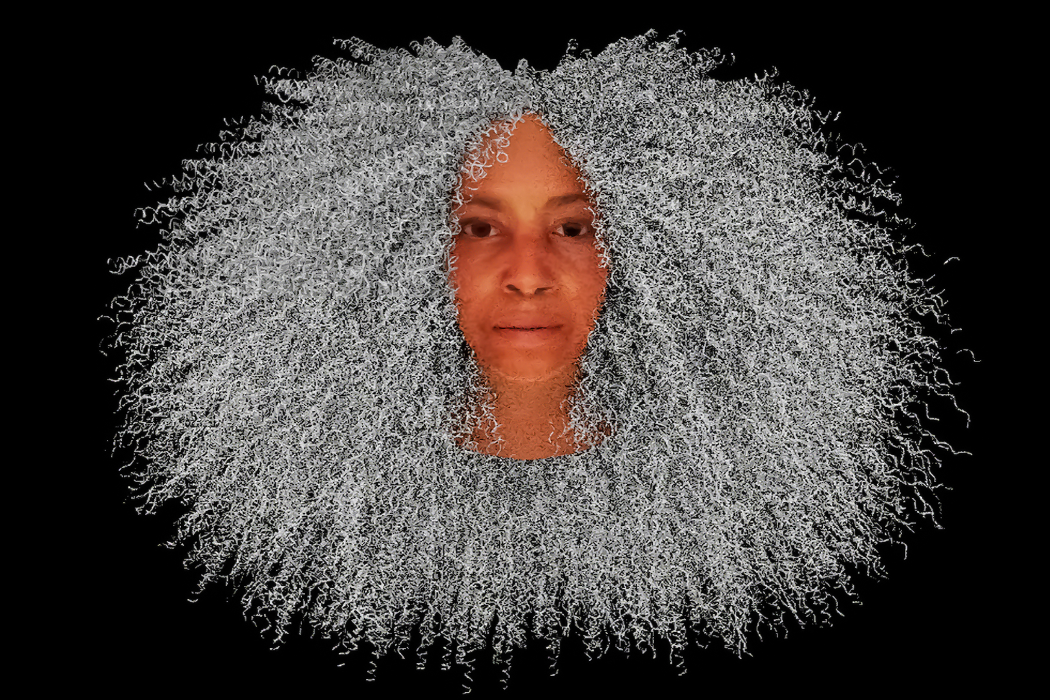 avatar by Stephanie Dinkins with a huge mane of curly gray hair
