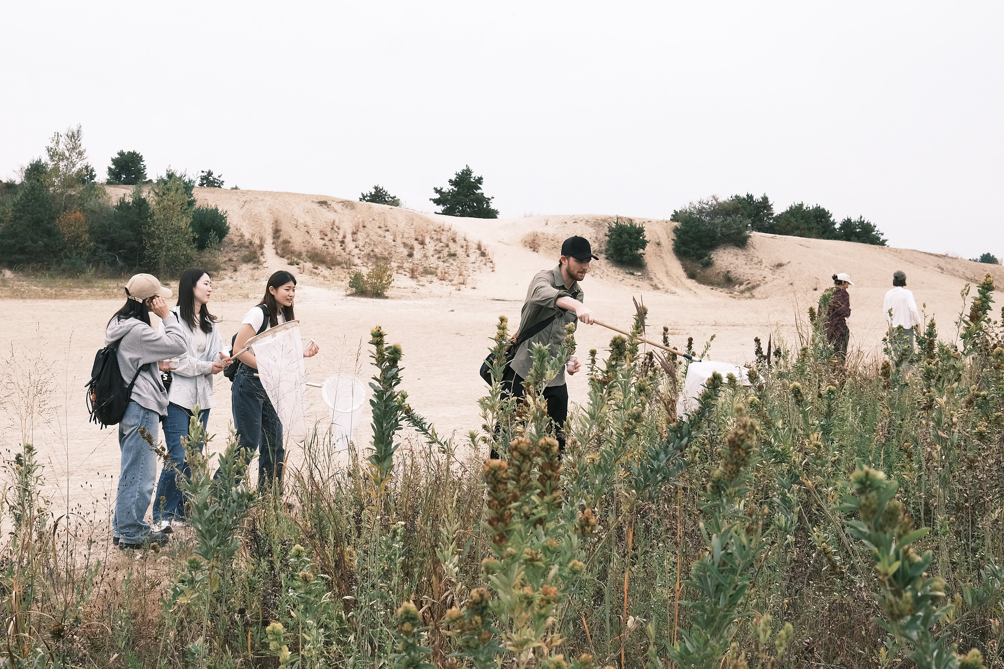 students collect bugs at Tillinghast Place using nets