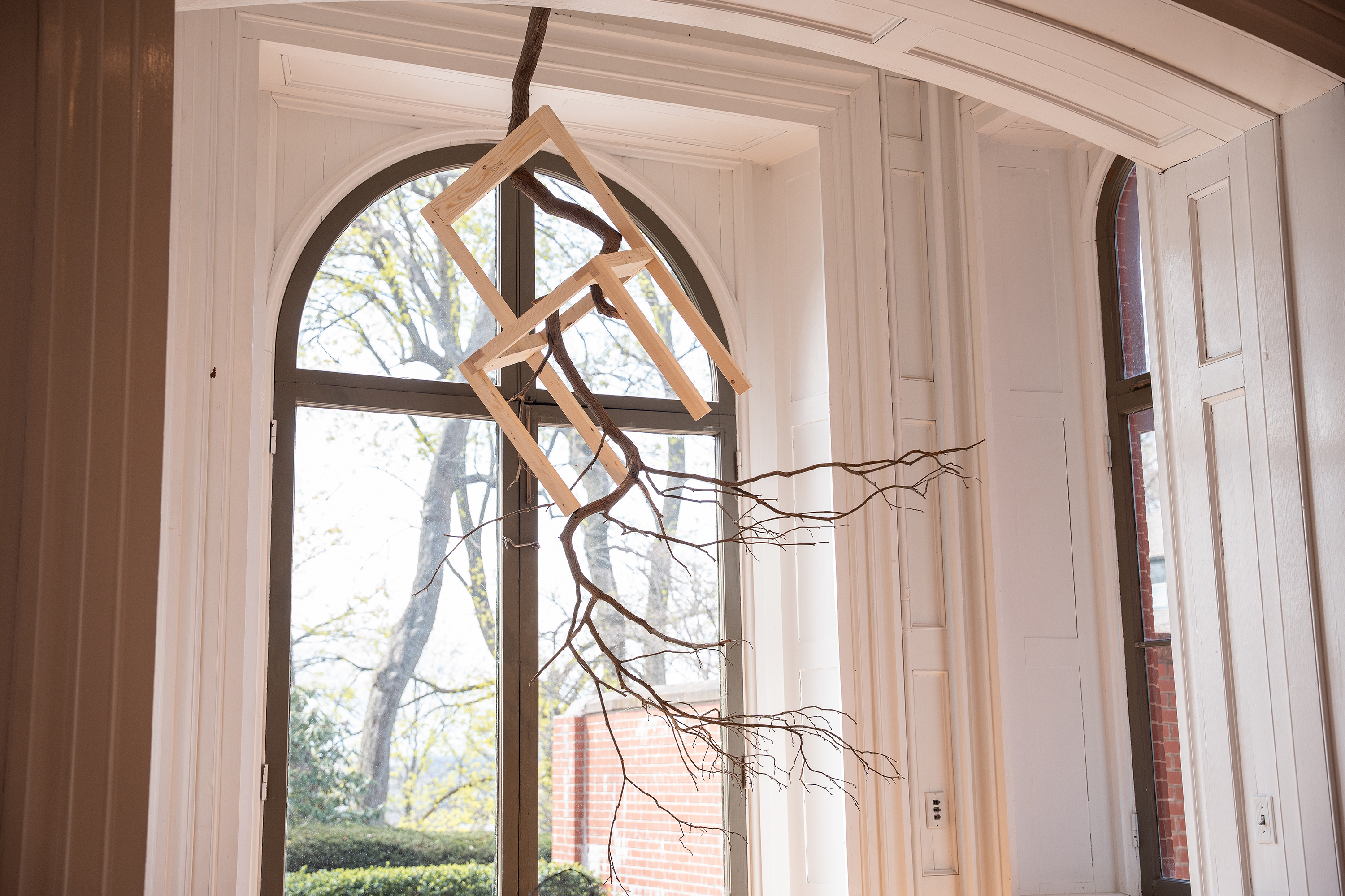 a boxy wooden chair hangs from a gnarled tree branch in Woods-Gerry Gallery