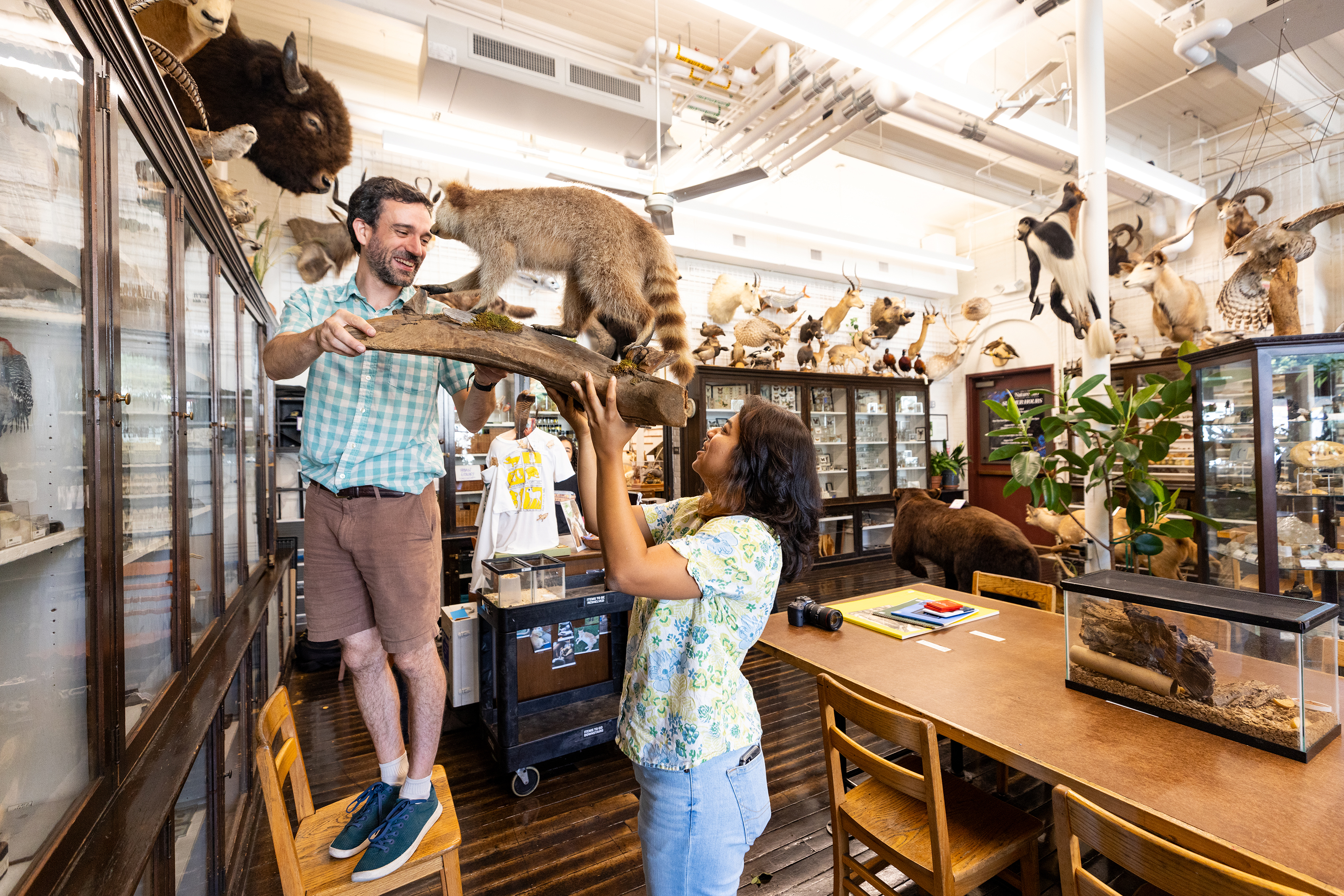 Ben Gagliardi takes a specimen down from a shelf