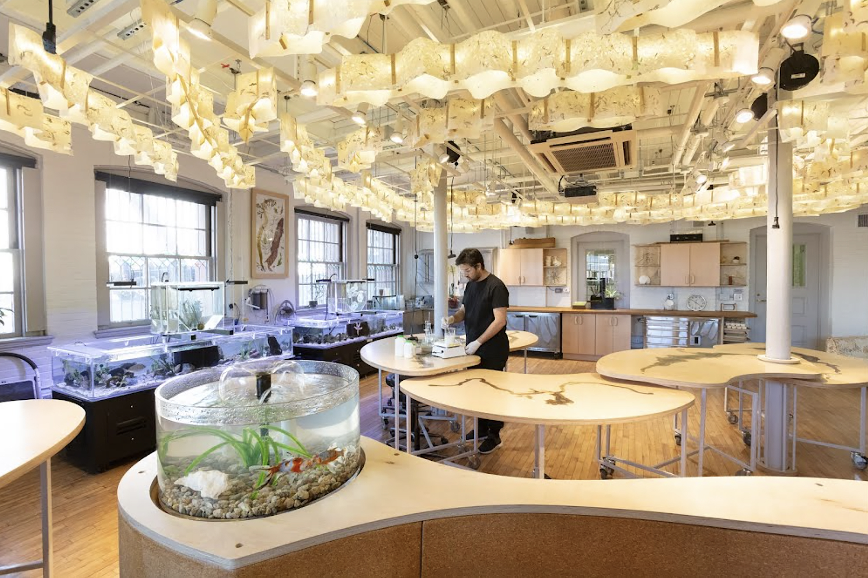 the Nature Lab's Bio-Design Maker Space