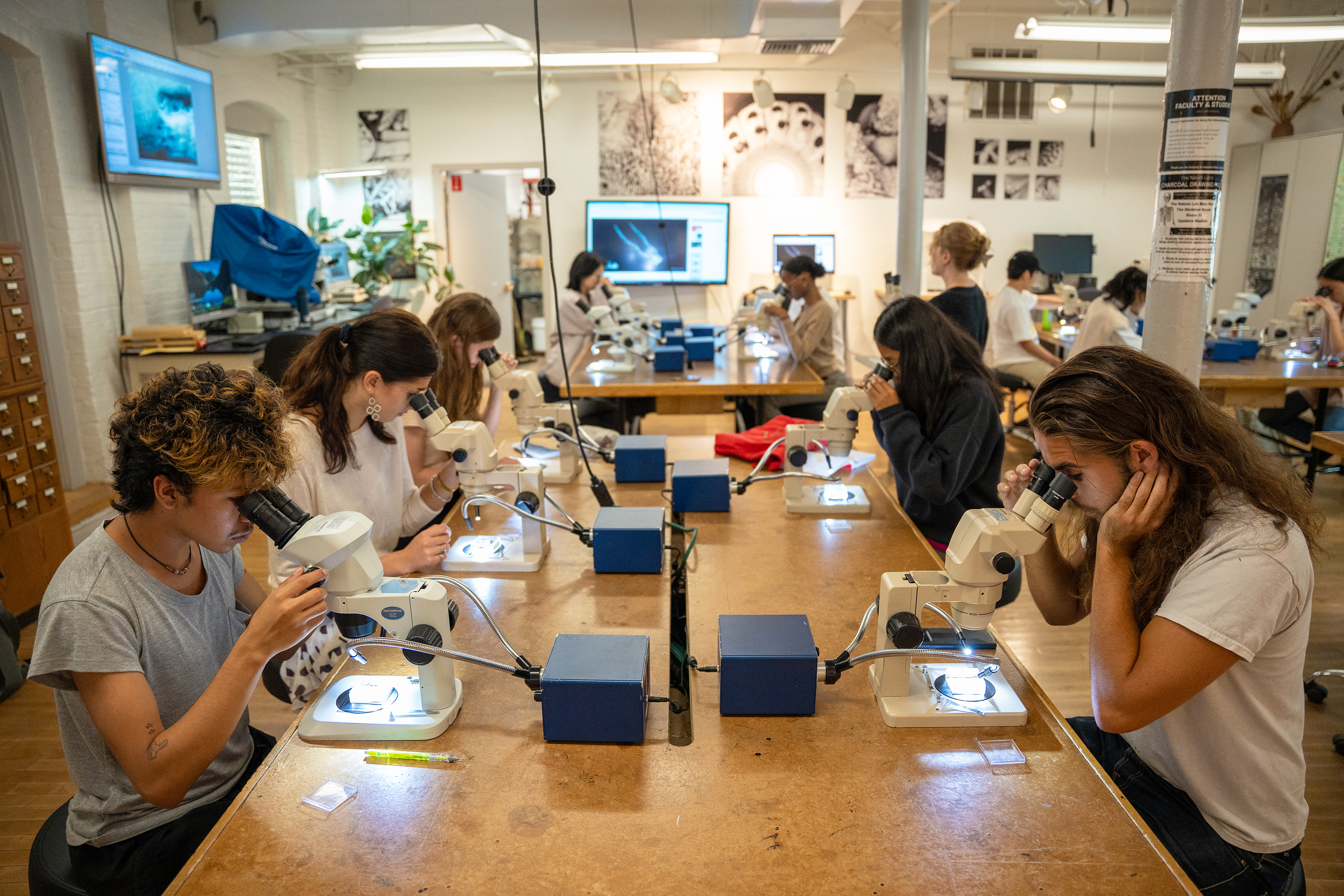 students learn how to use stereo microscopes in the Nature Lab