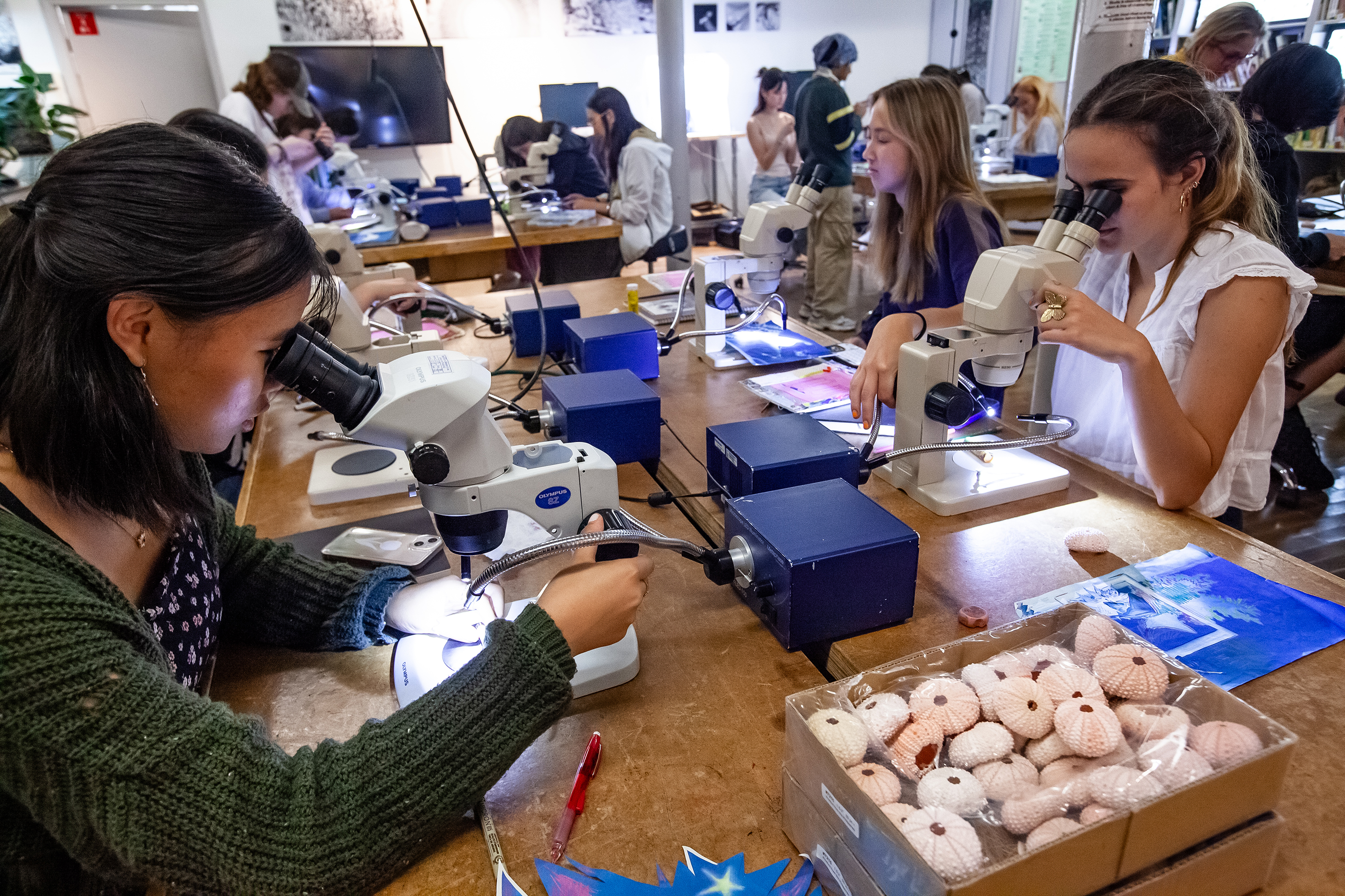 Pre-College students using microscopes in the Nature Lab