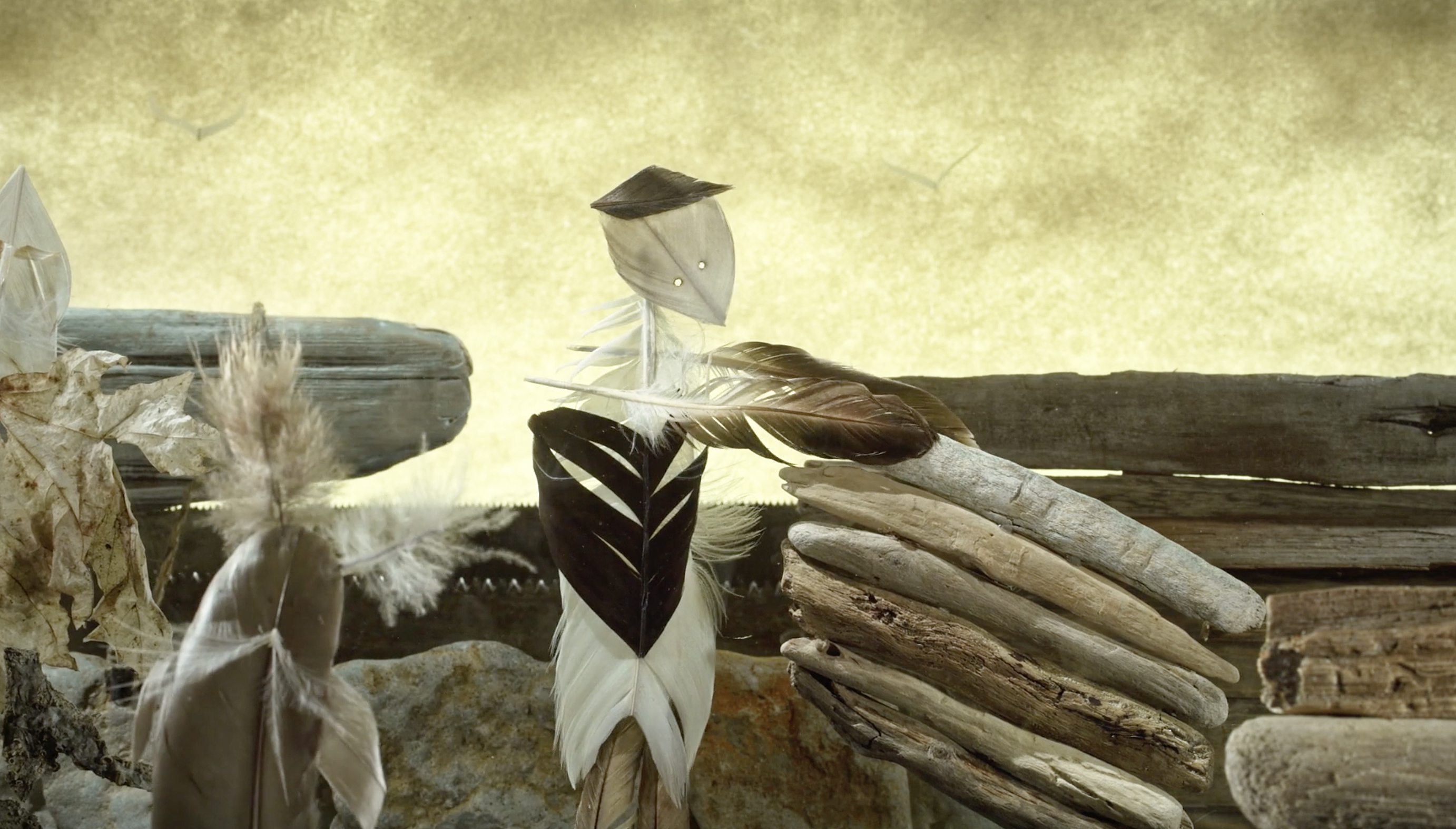 a still from Pikkov's award-winning animation
