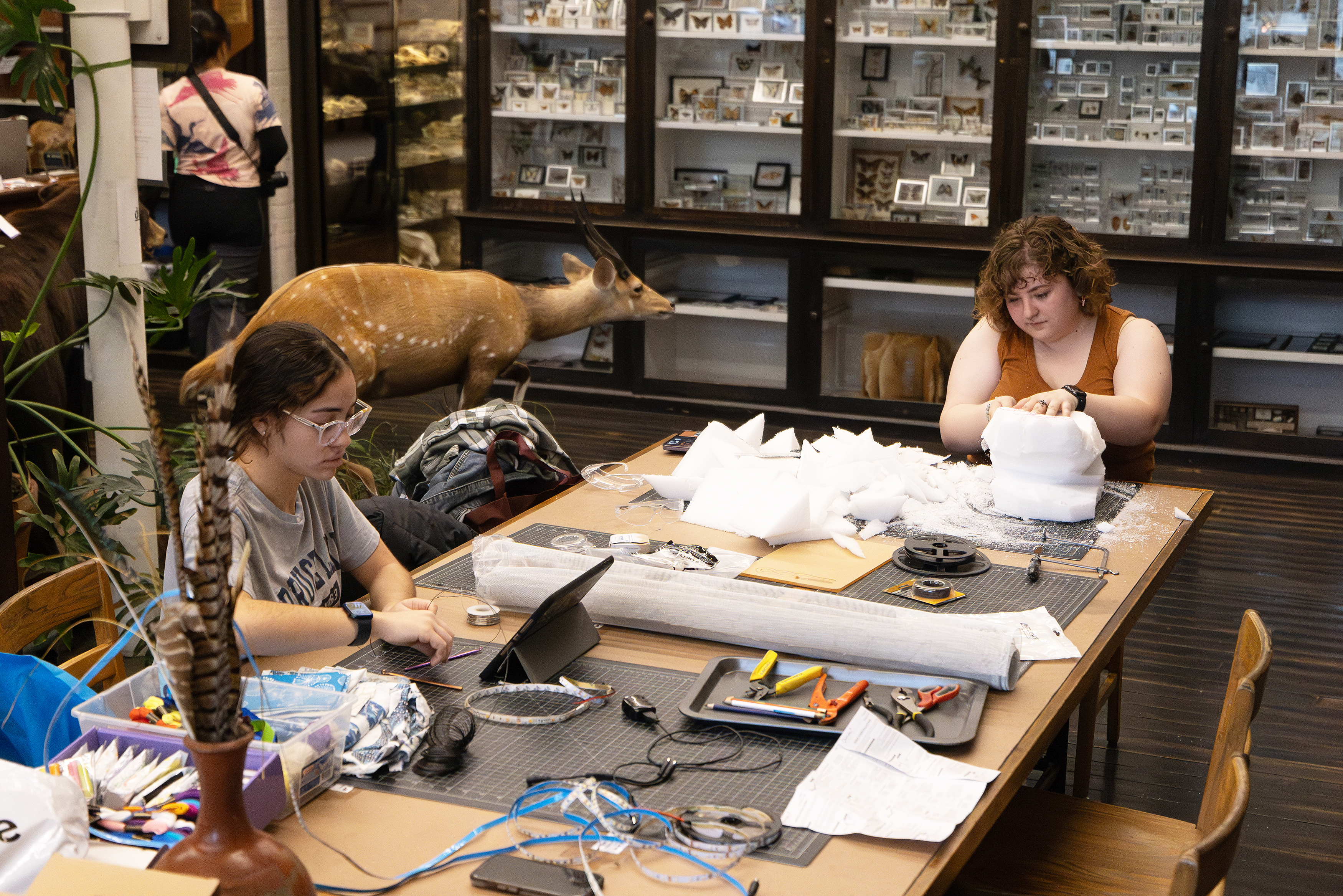 Vis-a-thon participants at work in the Nature Lab