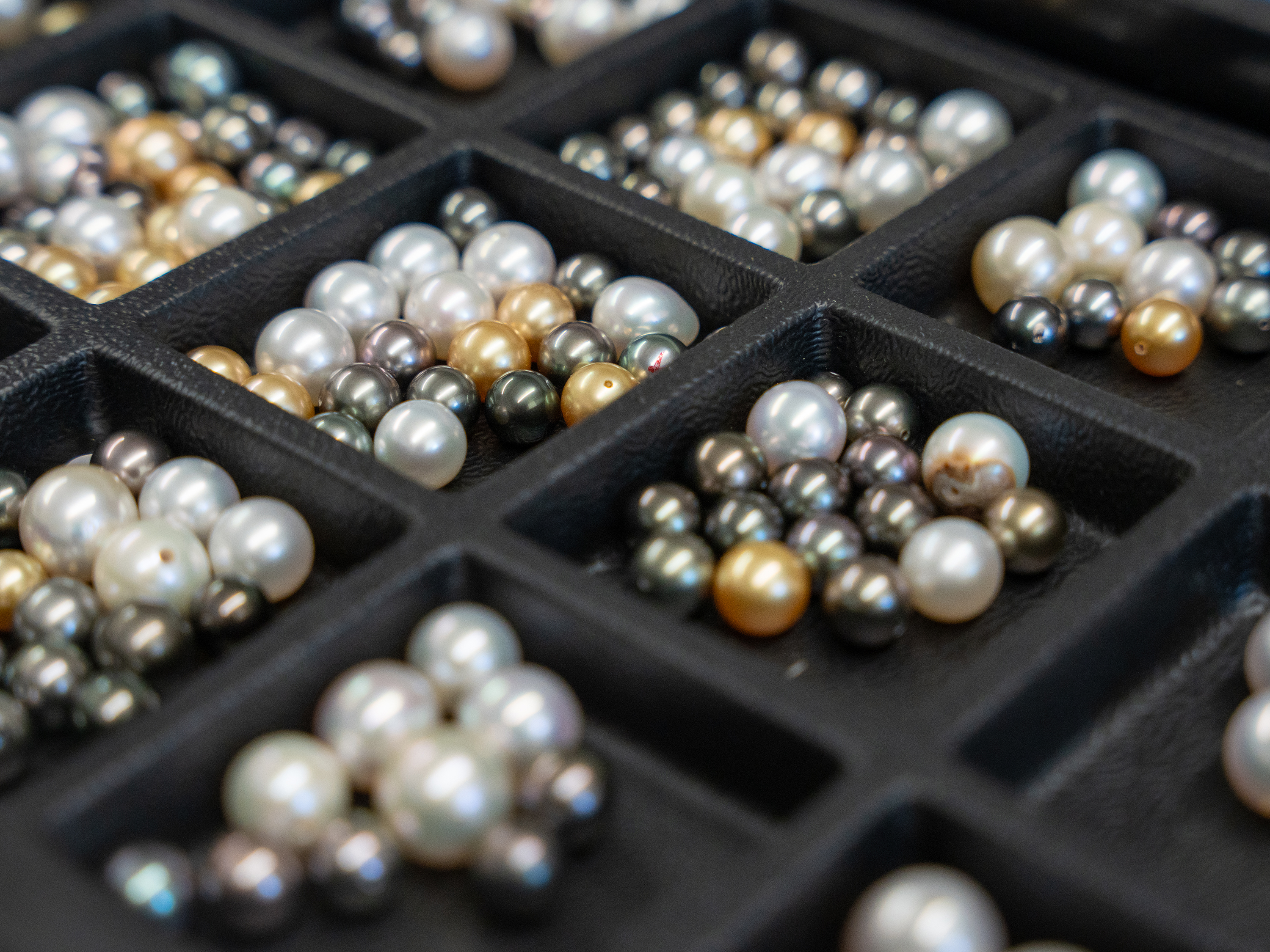 South Sea (saltwater) pearls come in a variety of colors