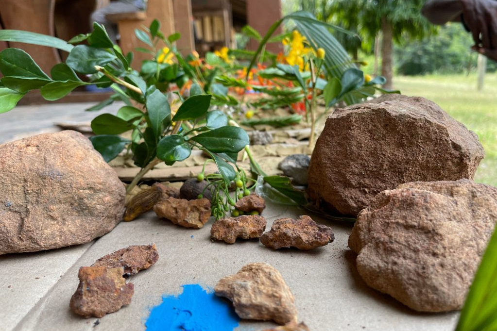 Rocks and branches displayed on a table