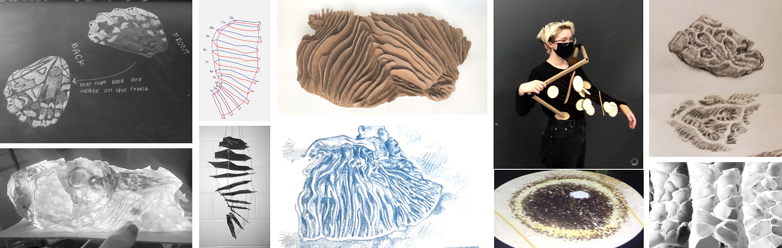 a compilation of student projects