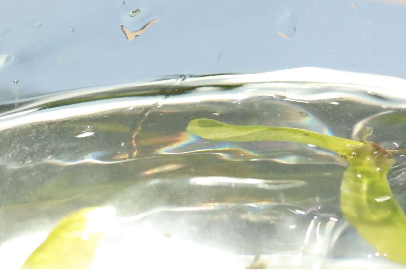 water shimmers on the surface of glass