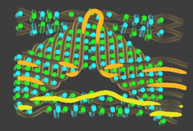 Virtual Textiles Research Group (VTRG) analyzed textile samples using CT scan and other technologies