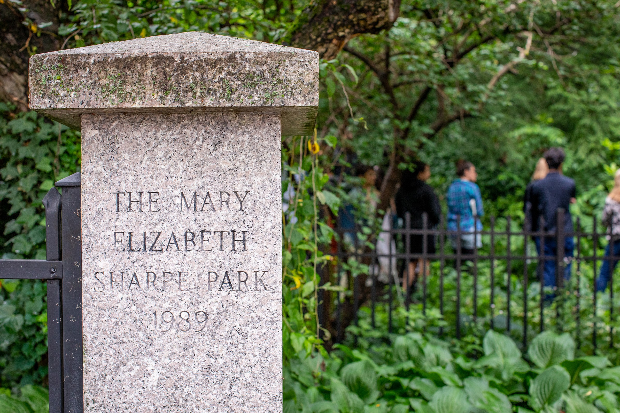 students explore the Sarah Sharpe garden