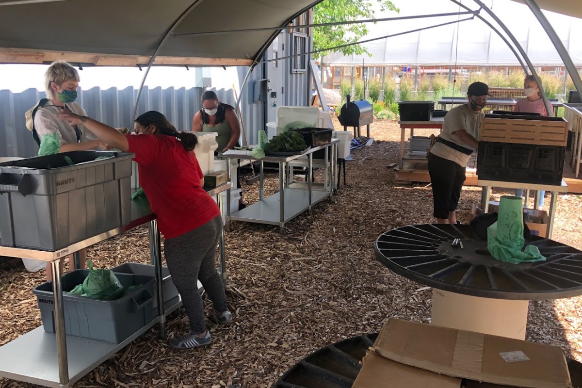 Eli Kauffman 21 PT, far left, bags vegetables at Wasatch Community Gardens