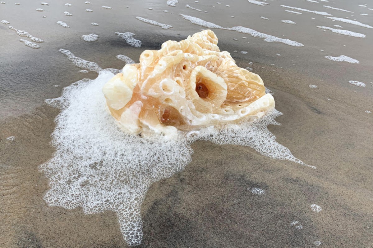 Sea specimen (stone carved onyx calcite), by Palmer Smith 20 SC