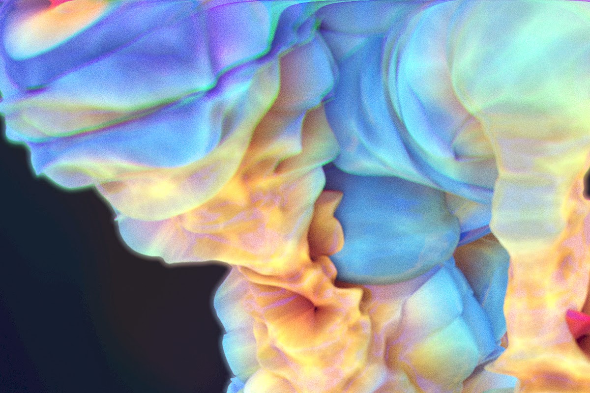 Still from Endless Forms Most Beautiful (animation) by Meredith Binnette 20 FAV