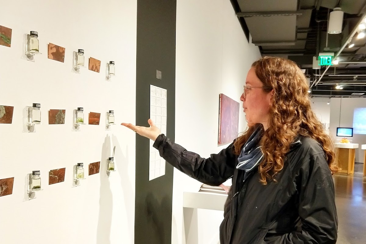Co-curator Heather McMordie MFA 20 PR explains how work by Ji Yoon Chung MFA 20 DM reflects on environmental change