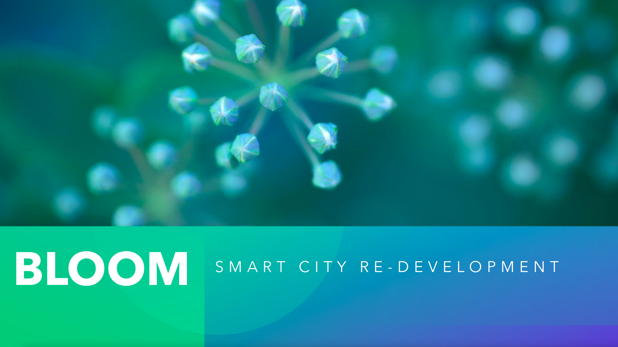 Bloom logo