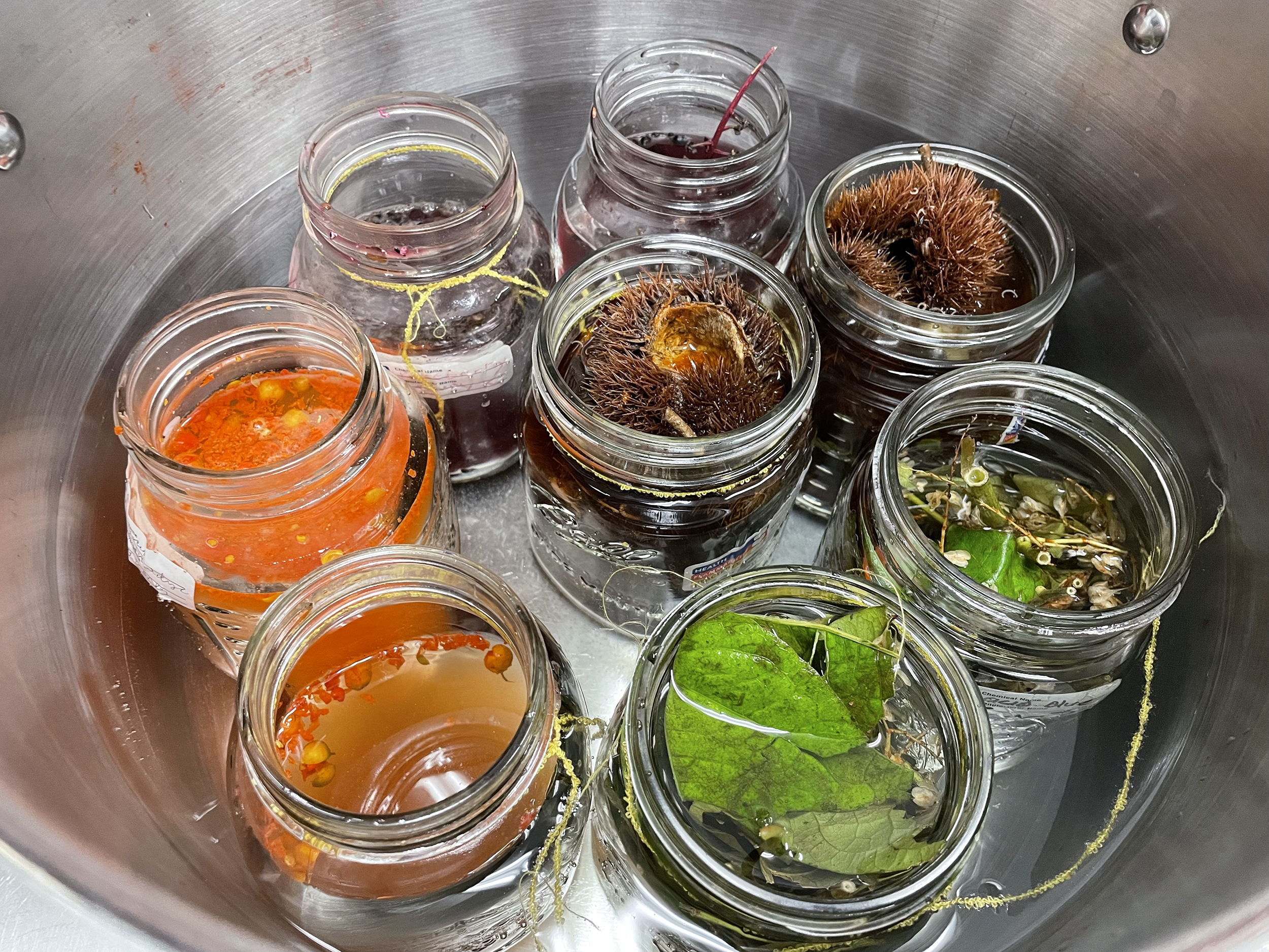 natural materials used to make colorful dyes