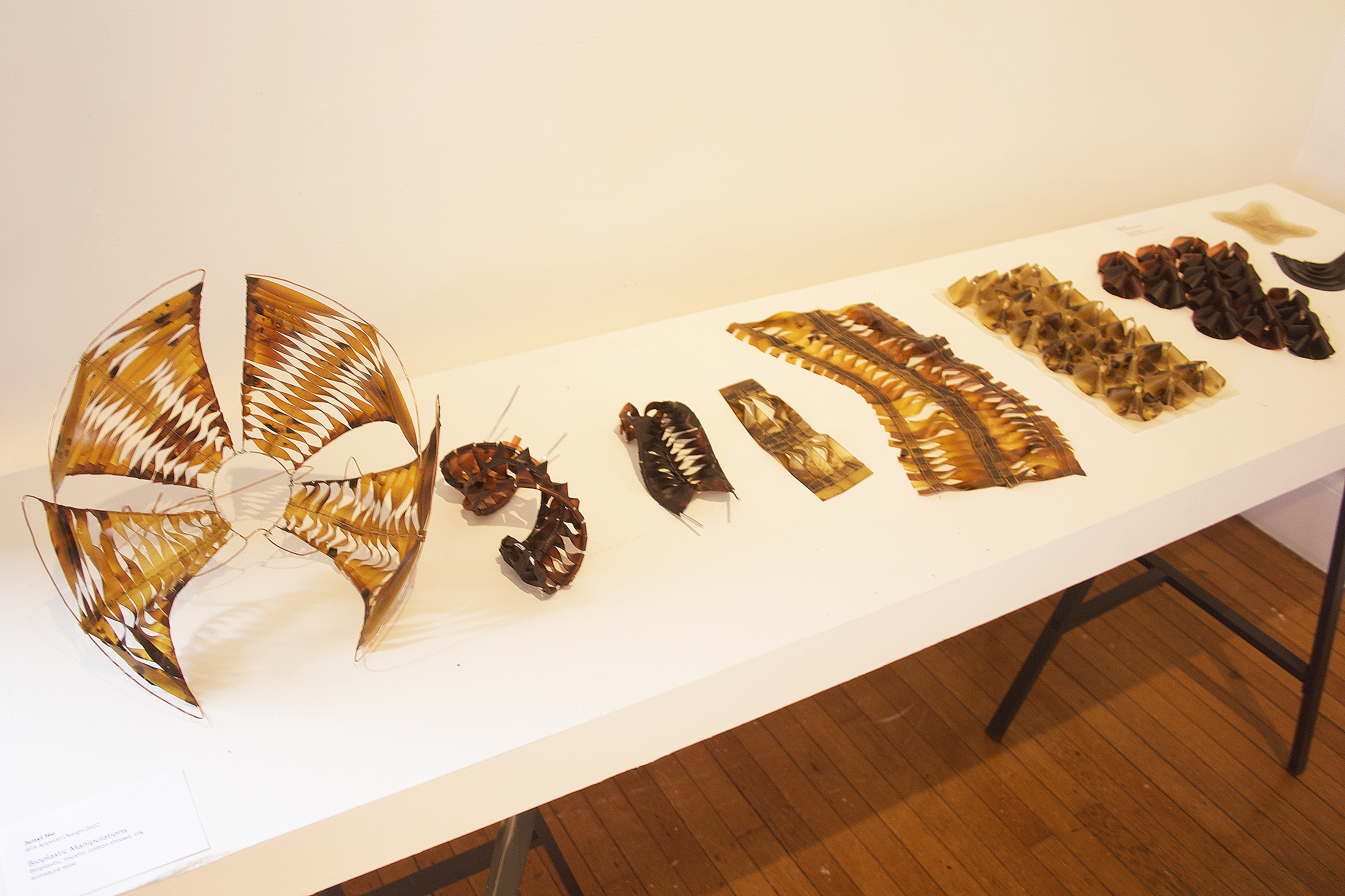 biomaterials grown for use in garment design