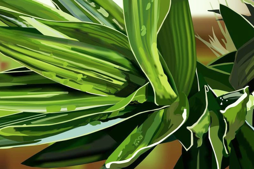brilliant green illustration of foliage