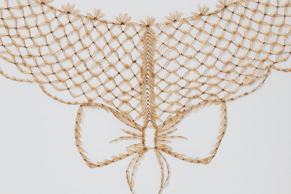 A neck collar made of bee wings that is currently displayed in the RISD museum