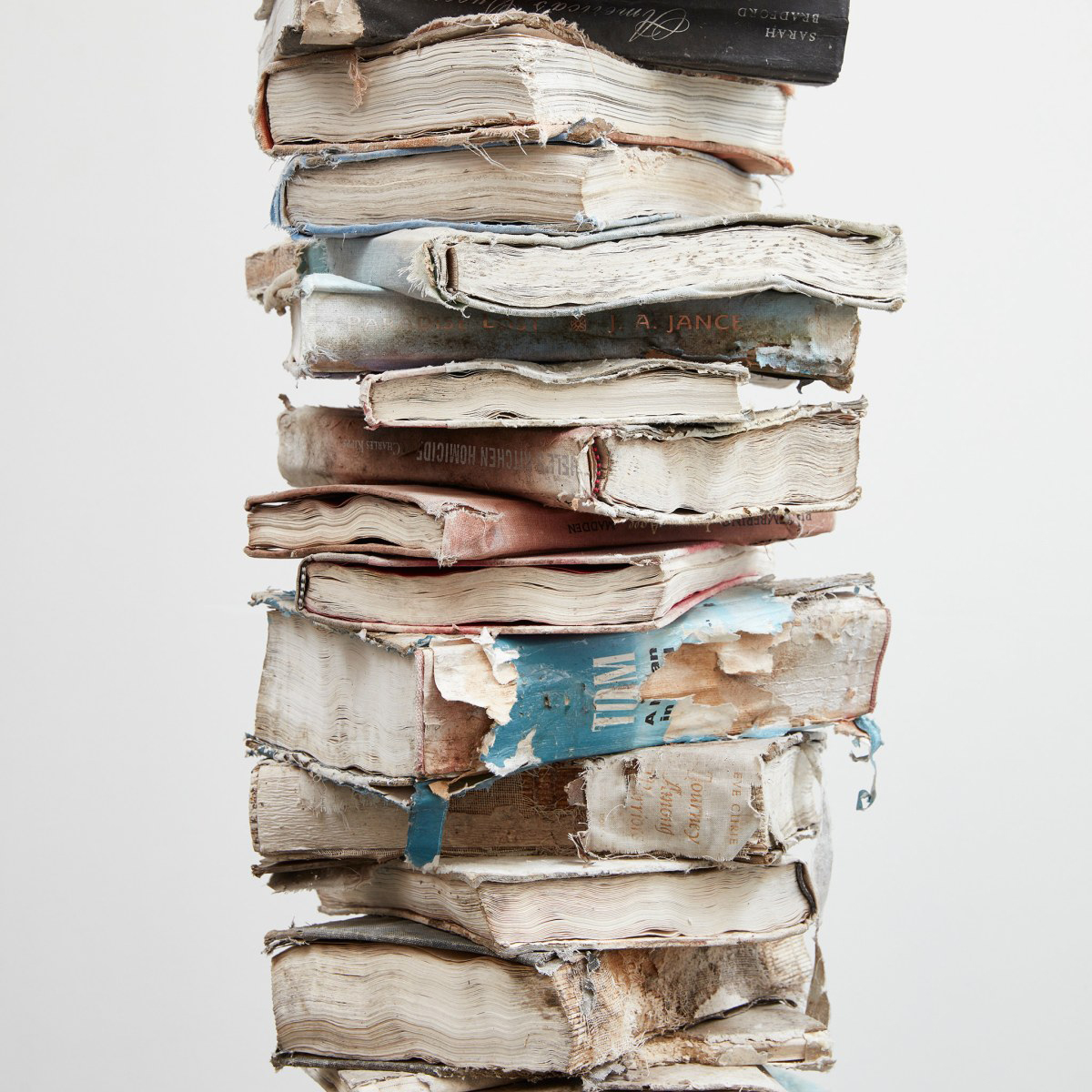 Stacks of books left out to disintegrate in nature