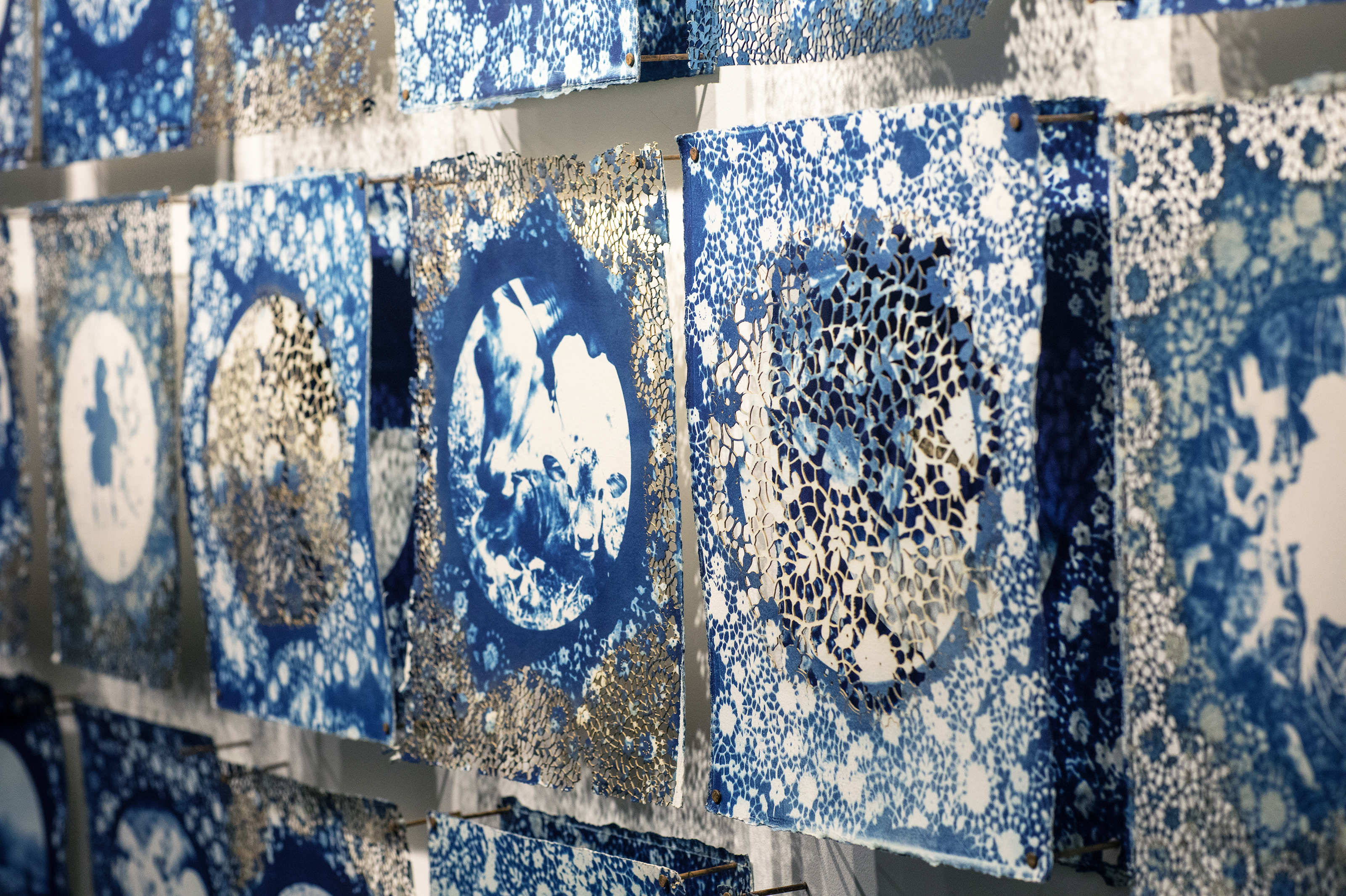 Cyanotypes made by Nellie Geraghty MFA 24 IL