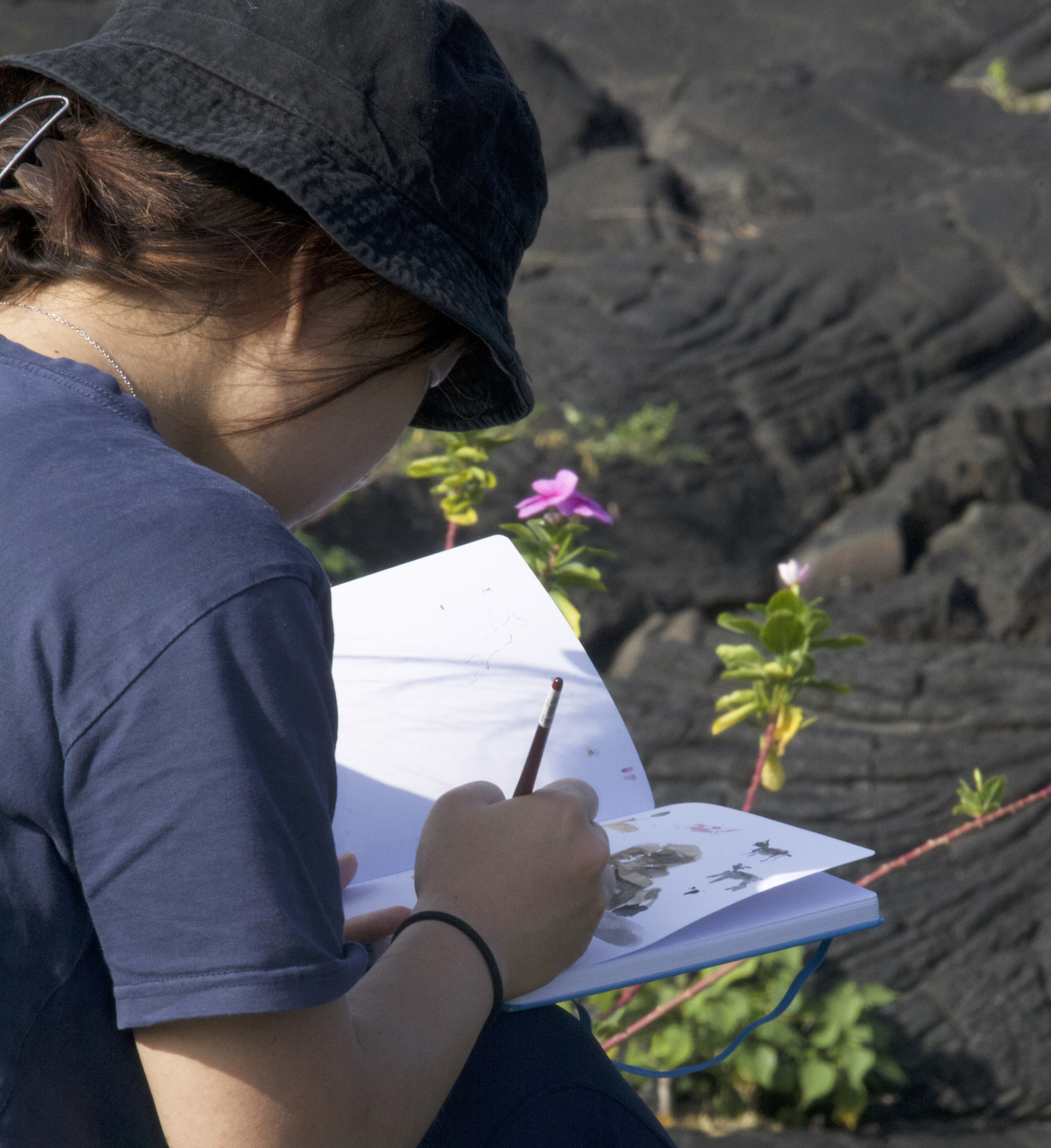 a student documents wildlife using watercolor paints