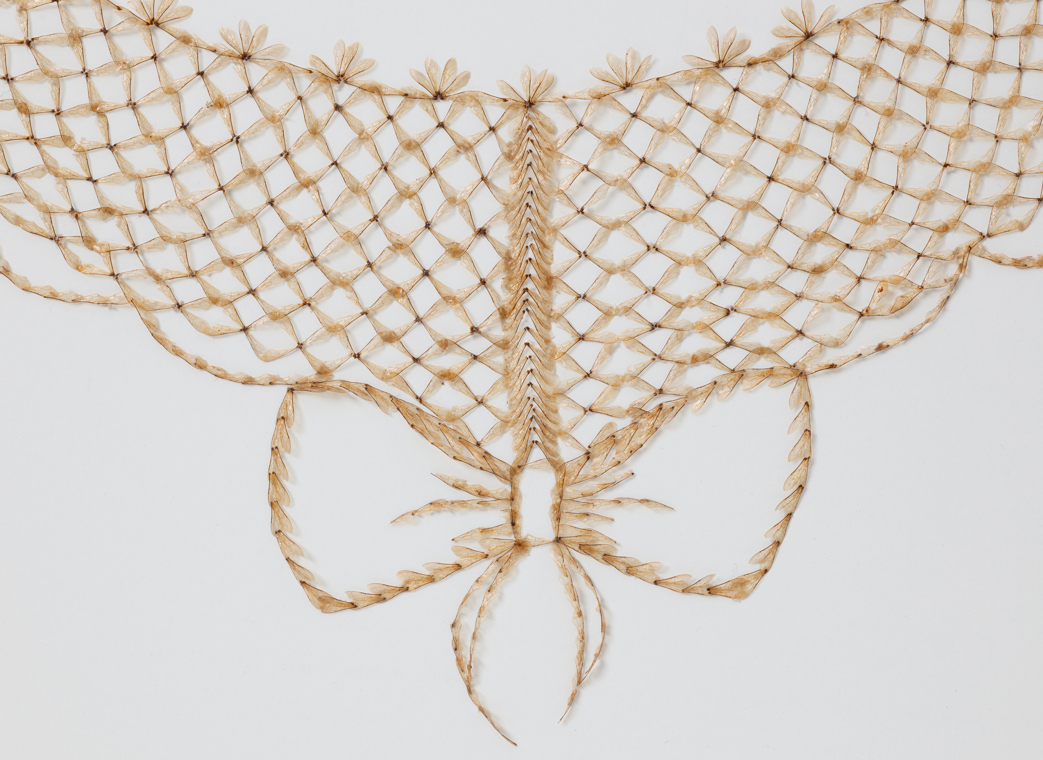 neck piece by Lucy Jockel made of beeswings