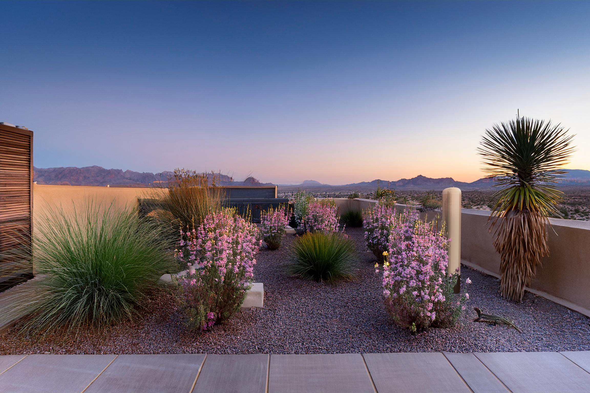 atmospheric water generator in a desert garden