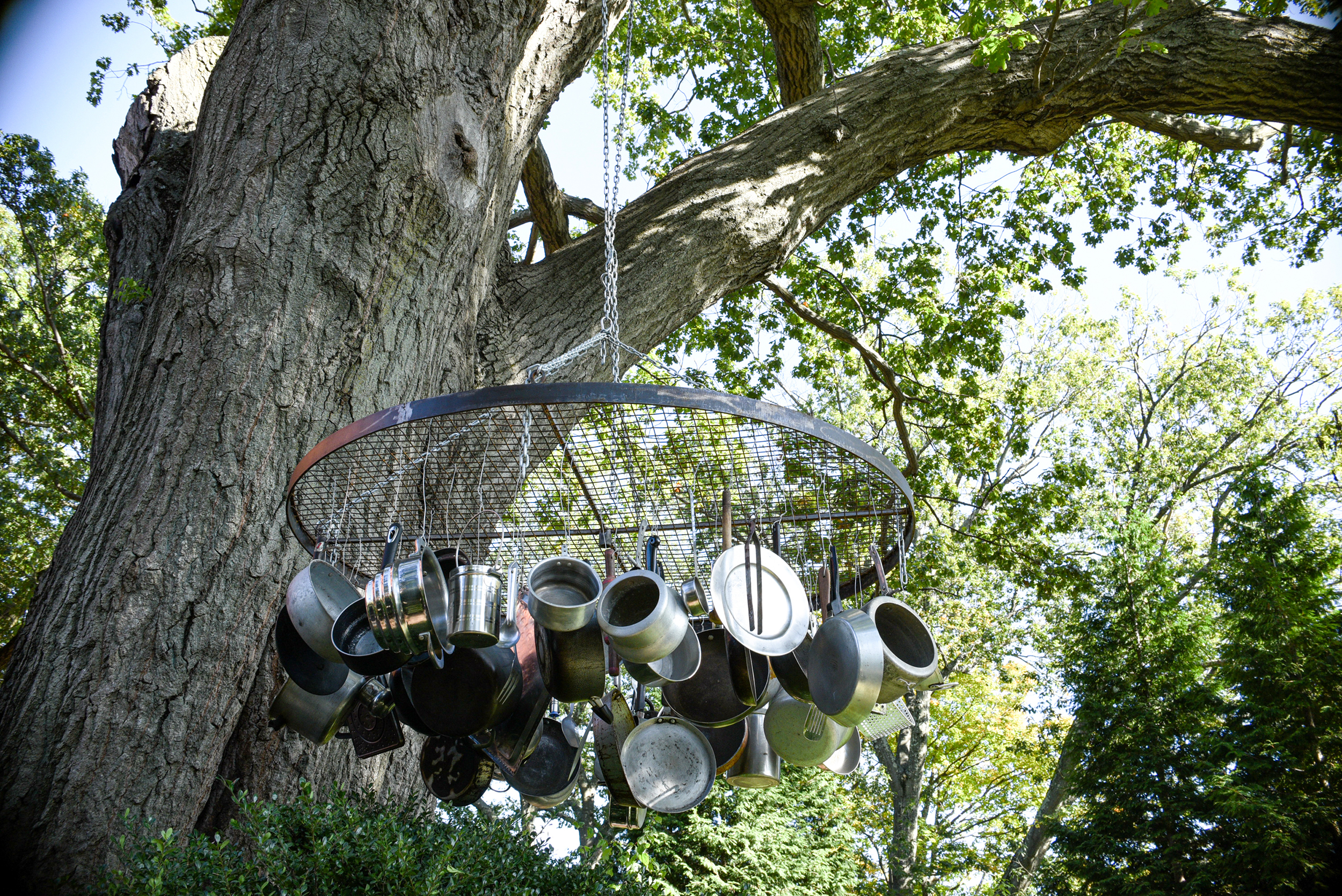 installation of pots and pans hanging from oak tree