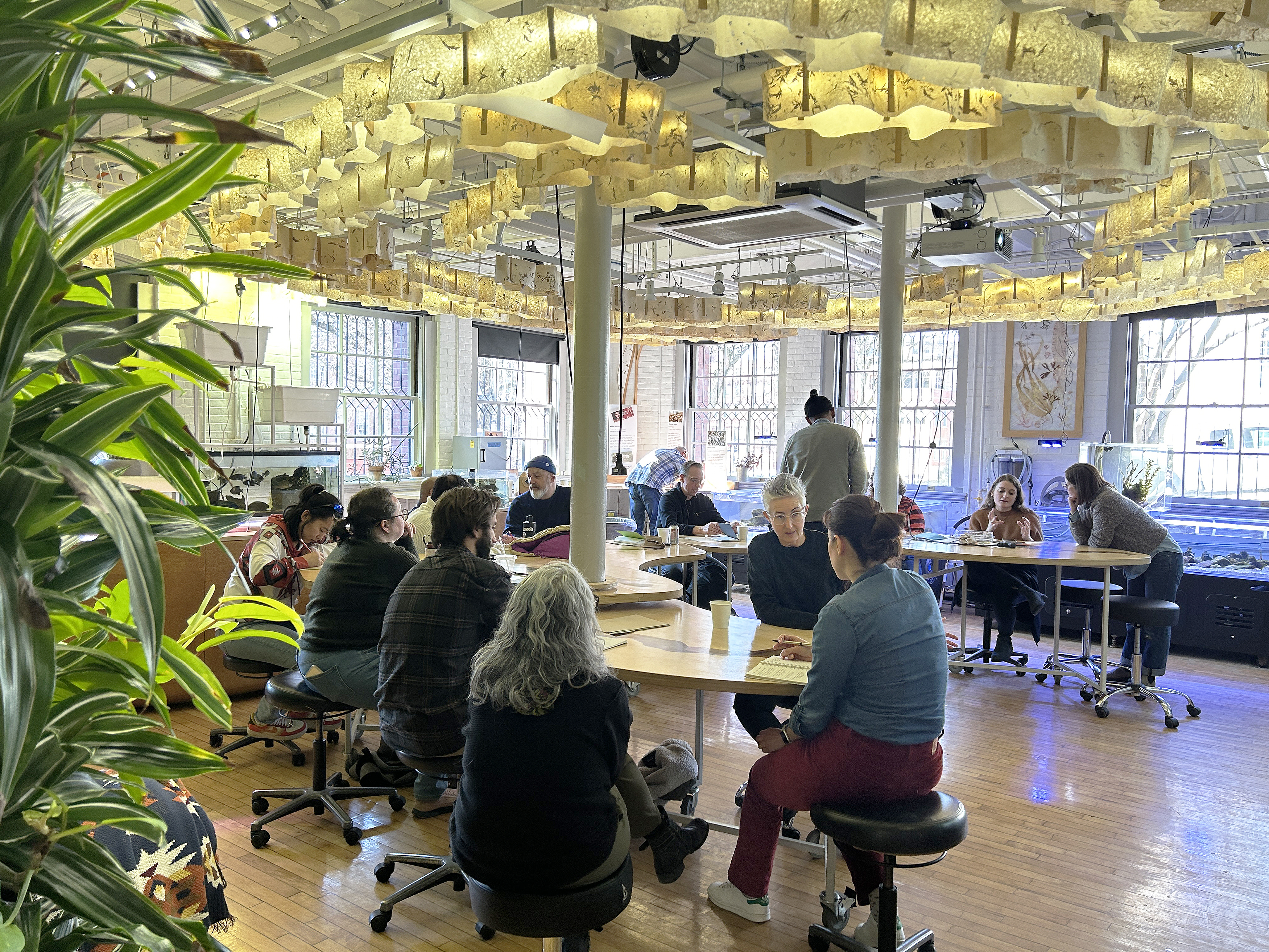 Vis-a-Thon gathering in the Nature Lab