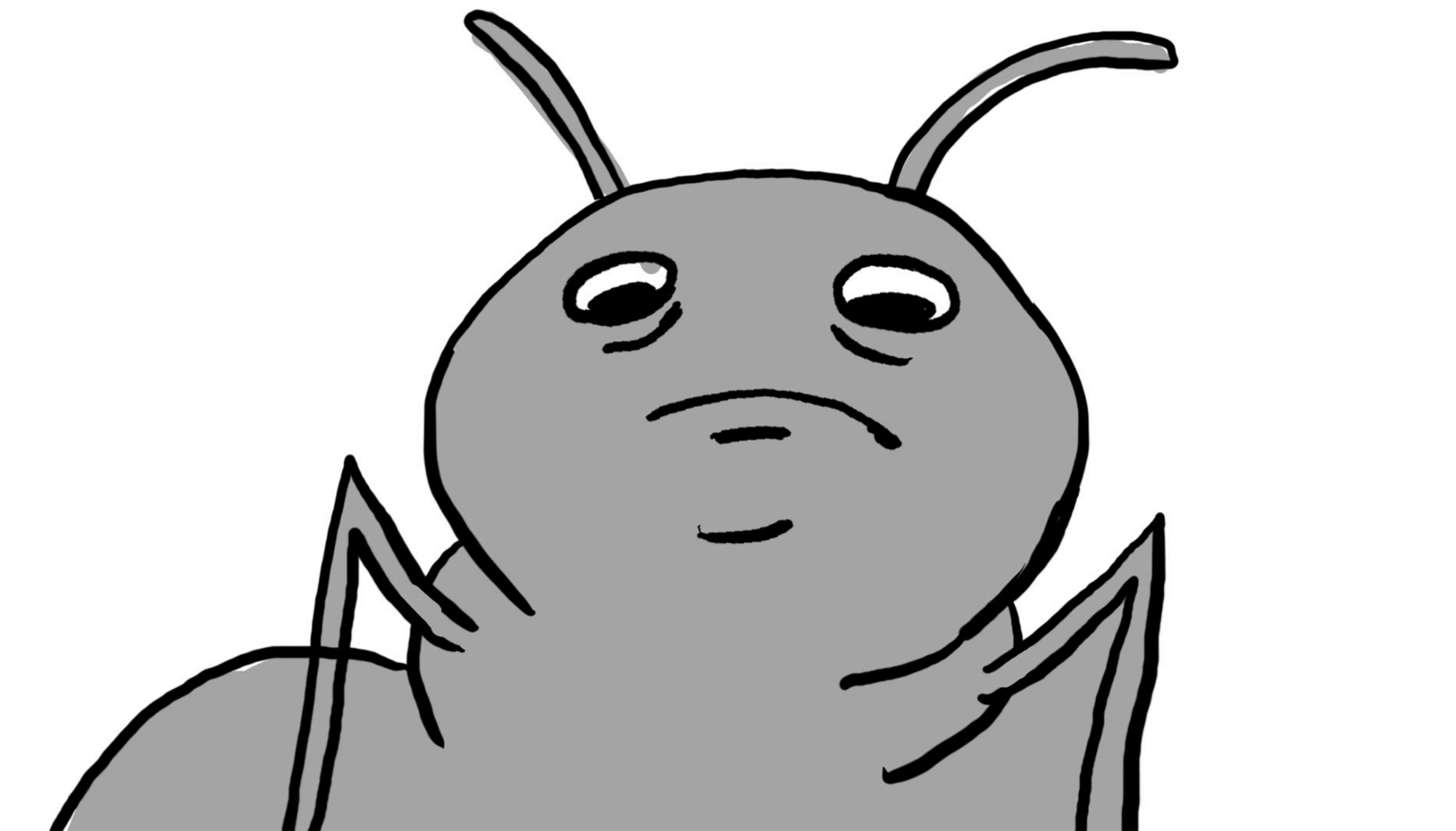 close-up frame of a sad ant