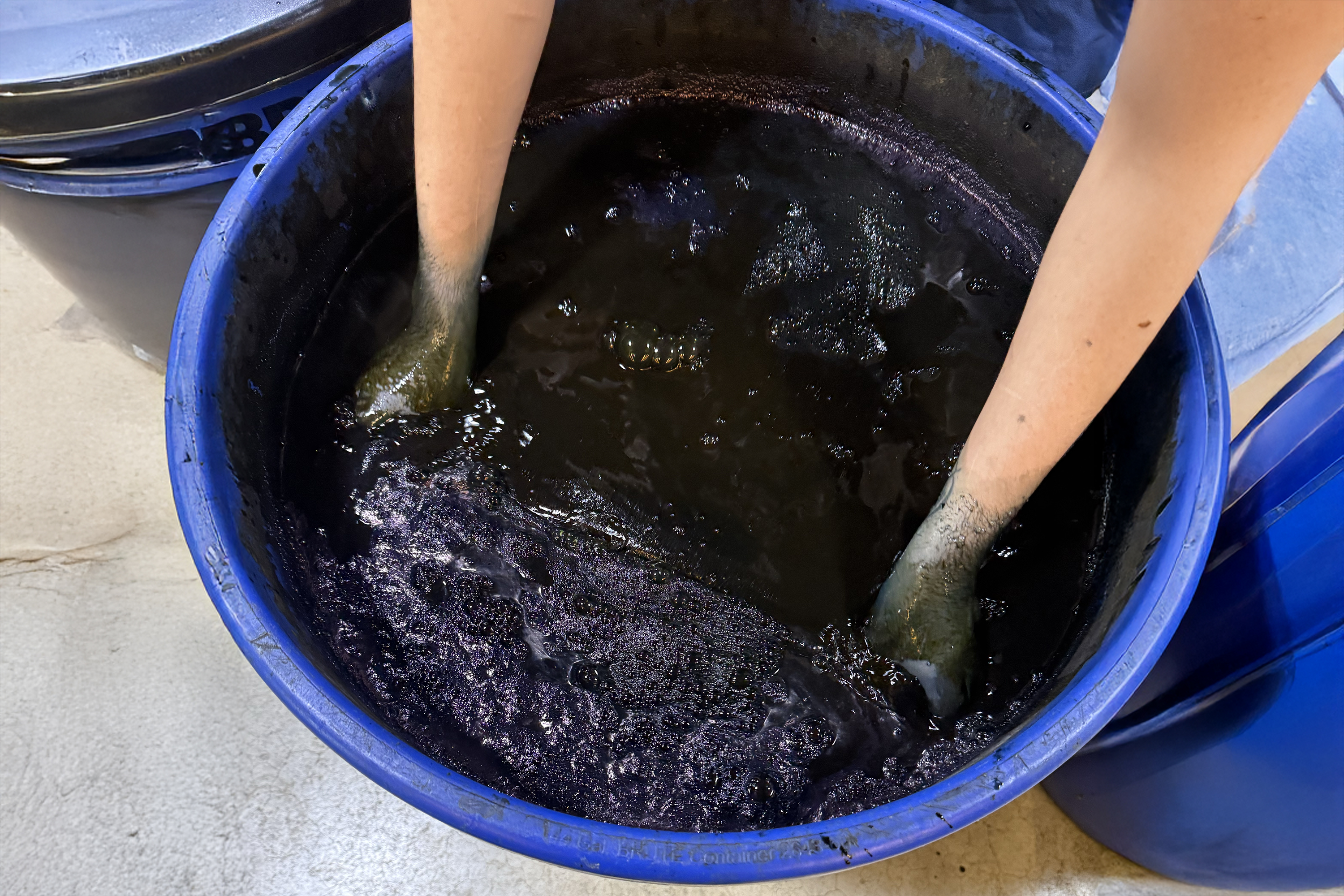 hands in a vat of blue indigo dye