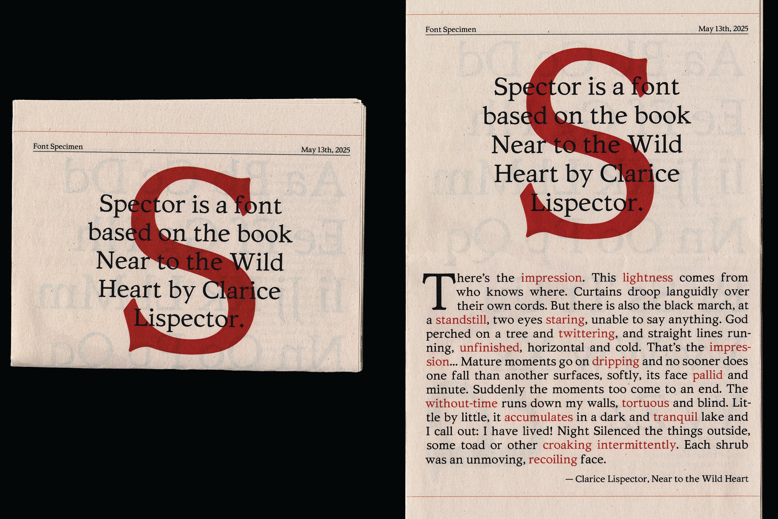 type design by a RISD student