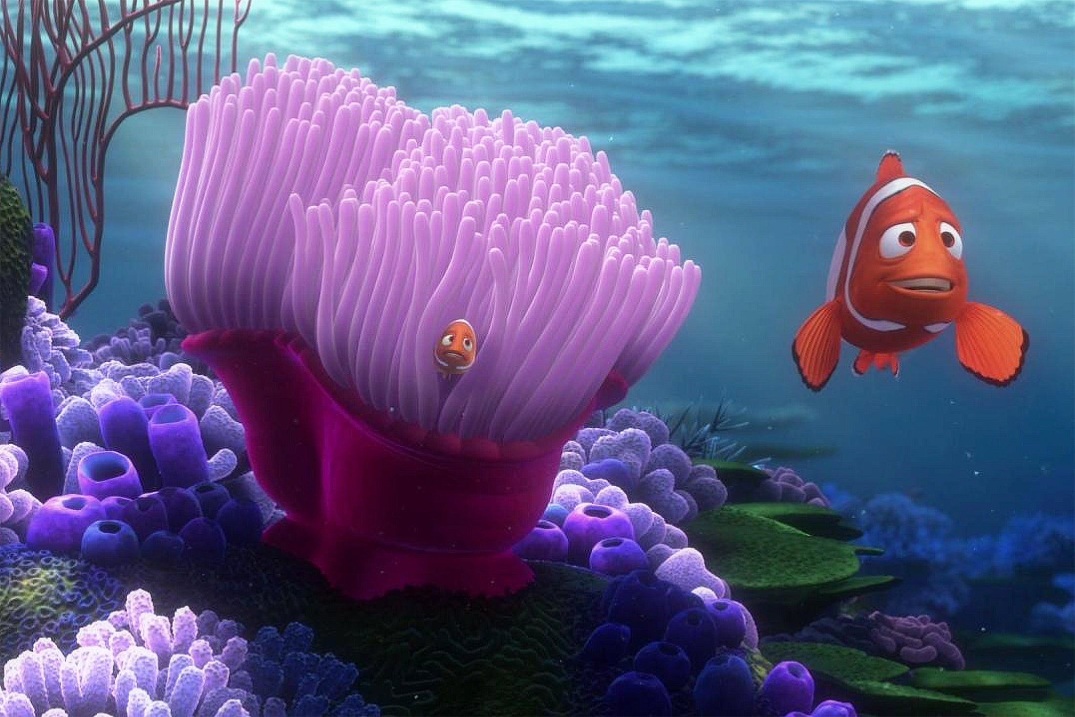 still from Finding Nemo with gather and son clownfishes and their reef