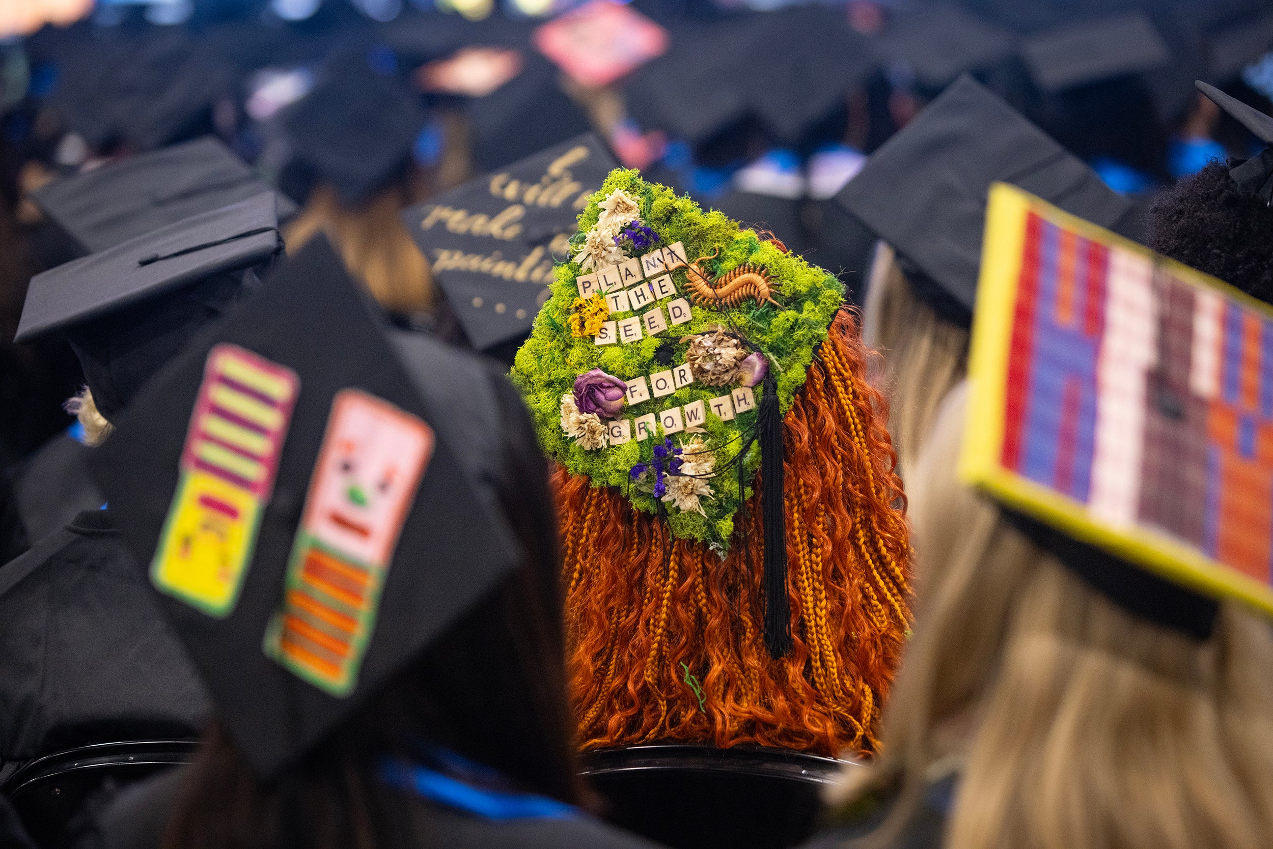 creative customized mortarboards