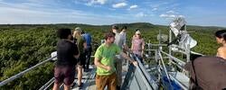 several people gathered on an observation platform looking out onto a large forest below a lightly clouded blue sky