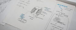 a notecard surrounded by several others, containing detailed notes of biological specimen research