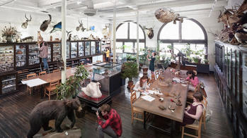 students at work in the Nature Lab