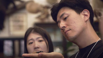a person holds an insect in their open hand as another observes, inside a room with natural specimens on the wall