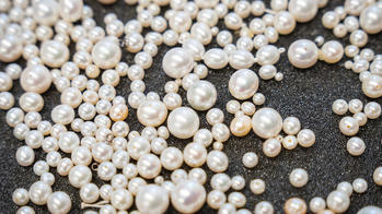 Pearl Lab