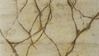 detail of a painting resembling the Earth's crust