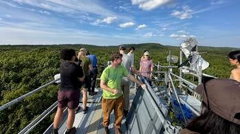 several people gathered on an observation platform looking out onto a large forest below a lightly clouded blue sky