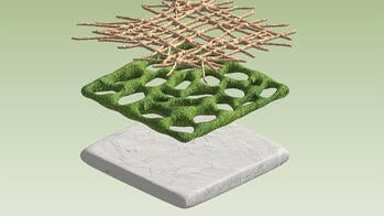 rendering of biomaterials composite