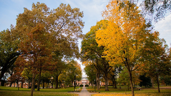 trees with green and autumn gold leaves surround a walking path toward a distant college-campus building